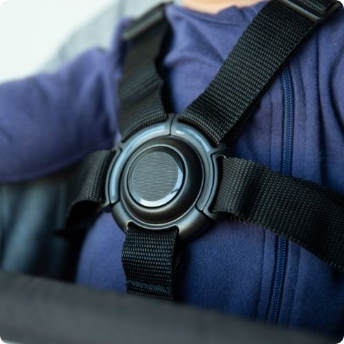 5-Point Harness