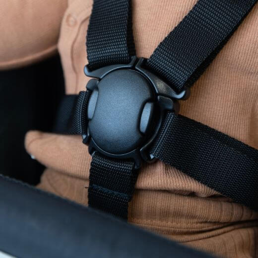 Magnetic 5-Point Harness