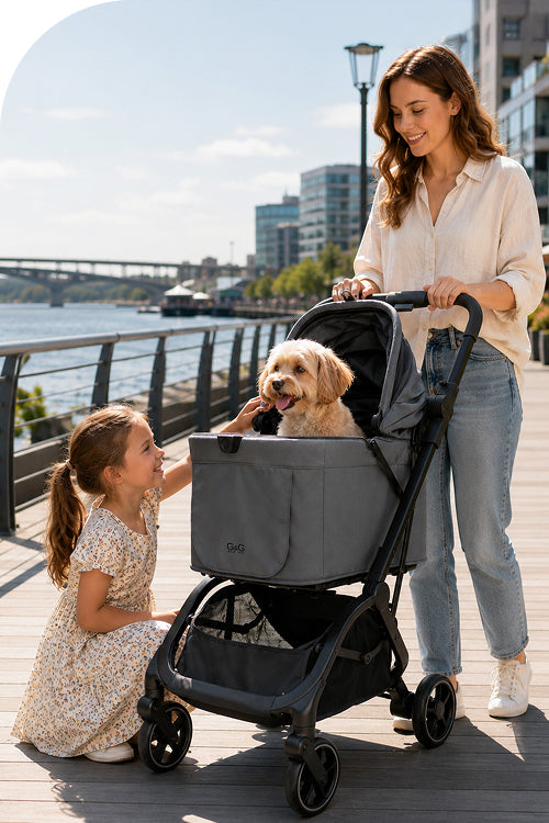 Dog Stroller for Daily Walks and Travel